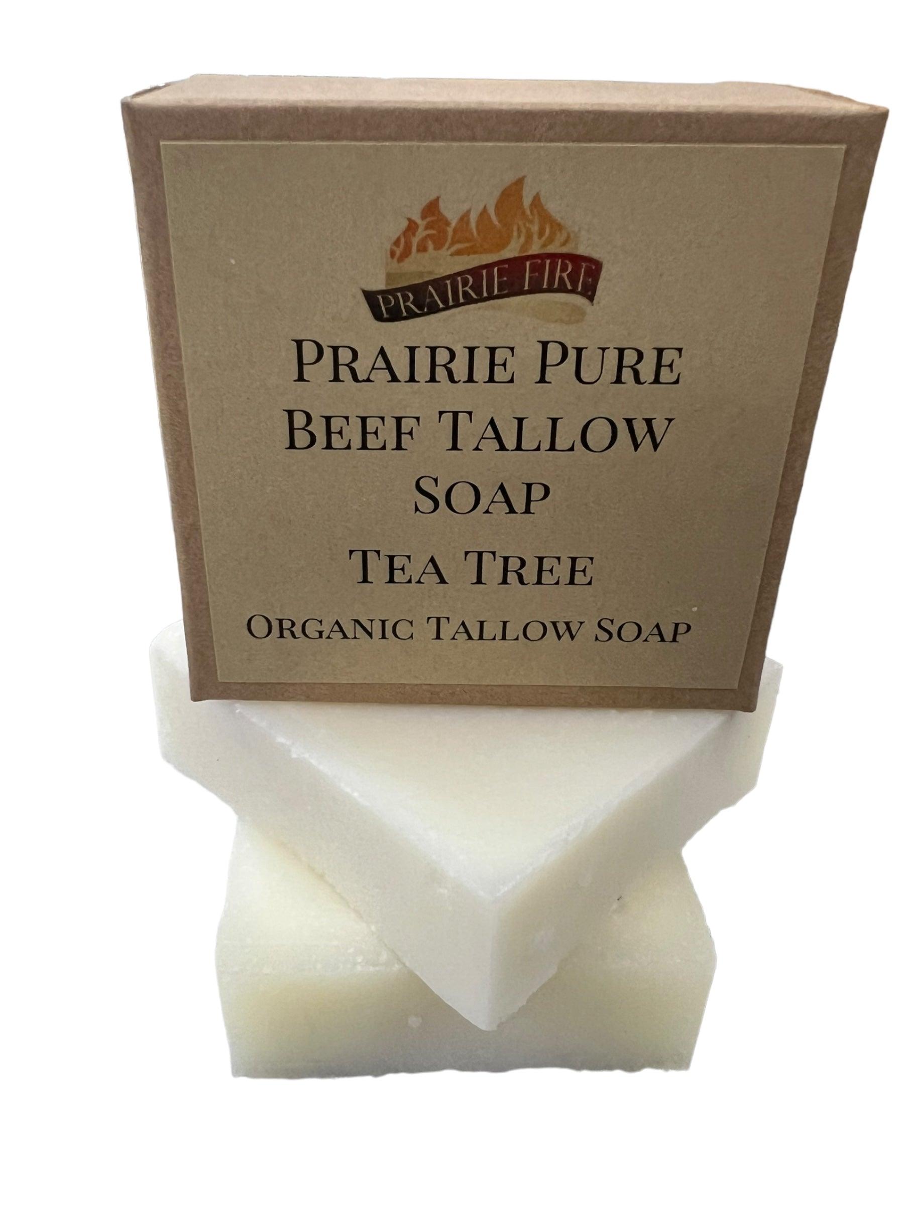 Grass Fed Beef Tallow Soap Bar 3 Pack Fragrance Free