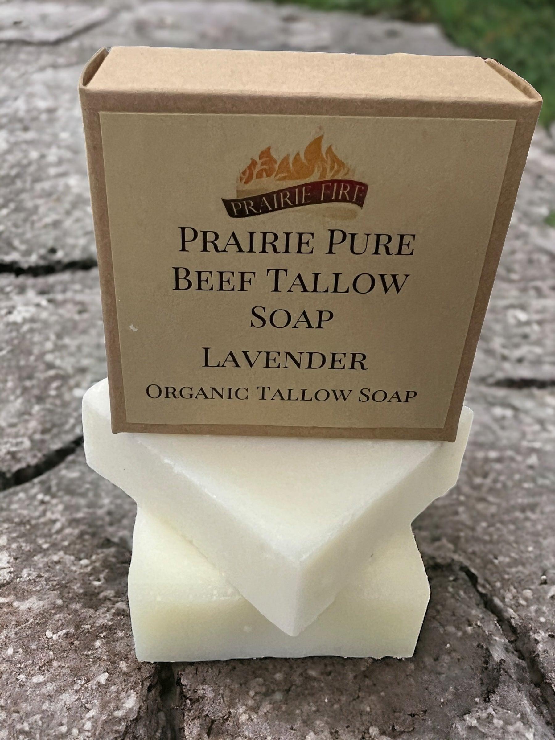 Grass Fed Beef Tallow Soap Bar 3 Pack Fragrance Free