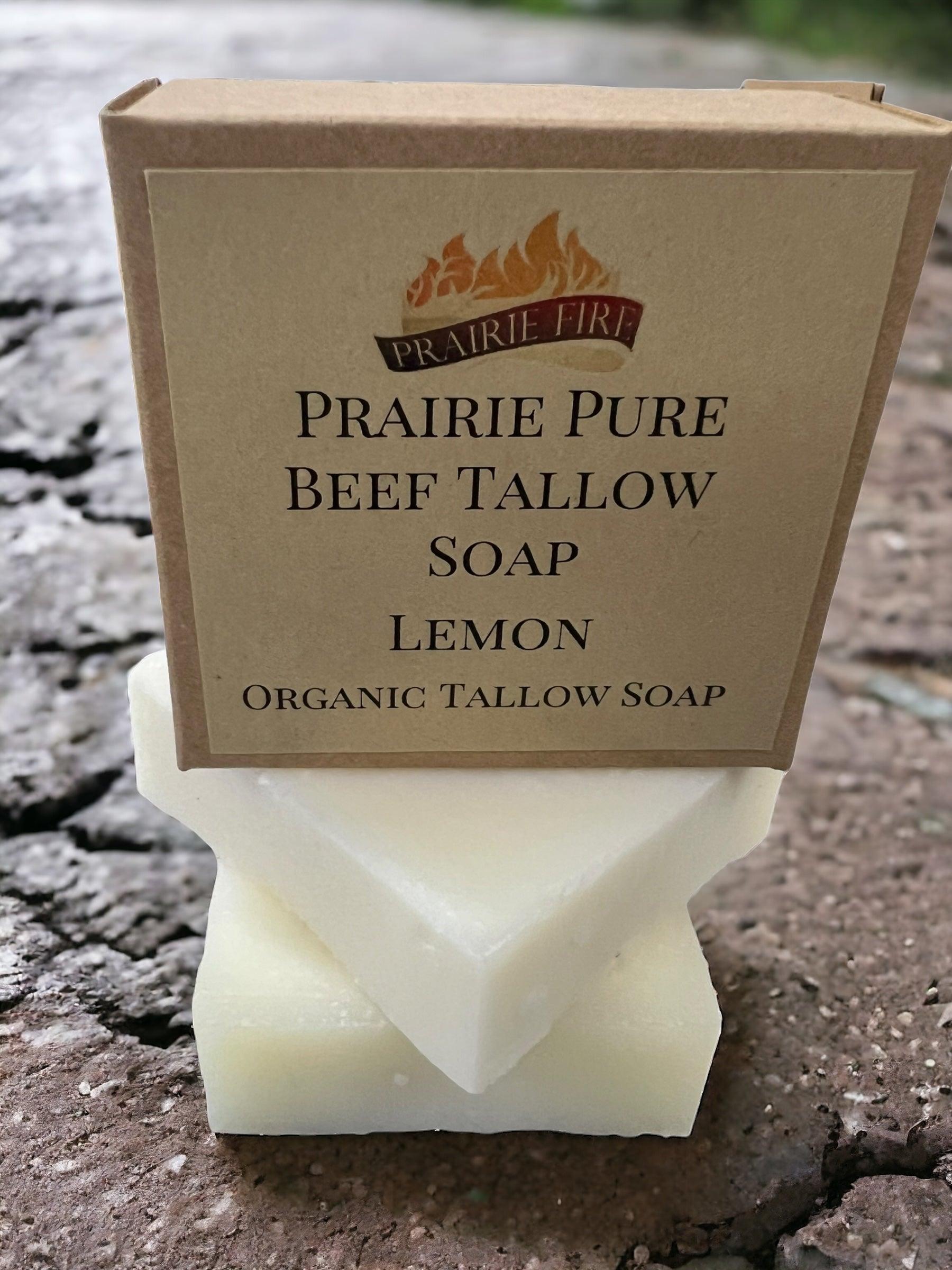 Grass Fed Beef Tallow Soap Bar 3 Pack Fragrance Free