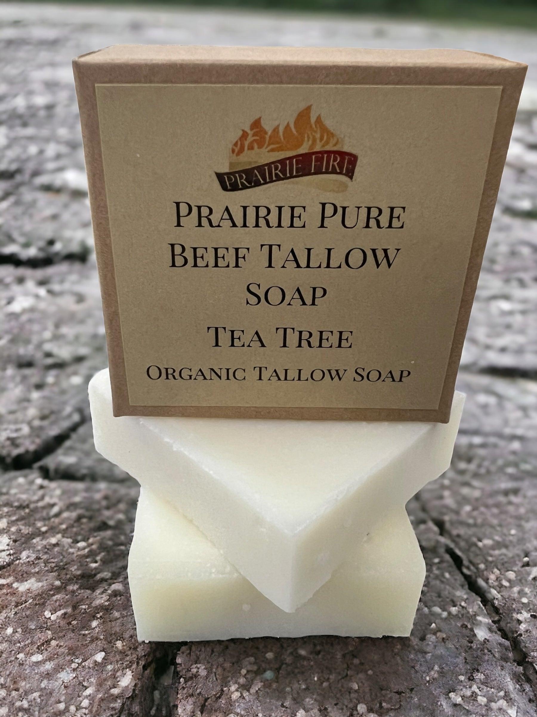 Grass Fed Beef Tallow Soap Bar 3 Pack Fragrance Free